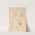 Herbier de la flore française Pl.0648 by Louis Antoine Cusin