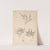 Herbier de la flore française Pl.0665 by Louis Antoine Cusin