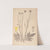 Herbier de la flore française Pl.0716 by Louis Antoine Cusin