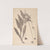 Herbier de la flore française Pl.0722 by Louis Antoine Cusin