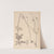 Herbier de la flore française Pl.0731 by Louis Antoine Cusin