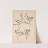 Herbier de la flore française Pl.0774 by Louis Antoine Cusin