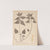 Herbier de la flore française Pl.0830 by Louis Antoine Cusin