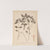 Herbier de la flore française Pl.0841 (1867-1876) by Louis Antoine Cusin