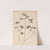 Herbier de la flore française Pl.0842 (1867-1876) by Louis Antoine Cusin
