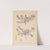 Herbier de la flore française Pl.0899 by Louis Antoine Cusin