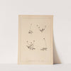 Herbier de la flore française Pl.0941 by Louis Antoine Cusin