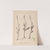 Herbier de la flore française Pl.1001 by Louis Antoine Cusin