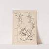 Herbier de la flore française Pl.1073 by Louis Antoine Cusin