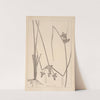 Herbier de la flore française Pl.1179 (1867-1876) by Louis Antoine Cusin