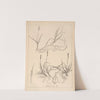 Herbier de la flore française Pl.1282 (1867-1876) by Louis Antoine Cusin
