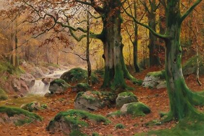 Herbstliche Waldlandschaft