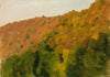 Herbstwald im Bärental