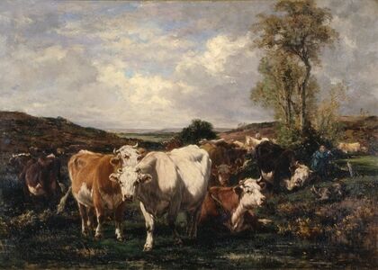 Herd