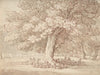 Herd of deer under an oak tree