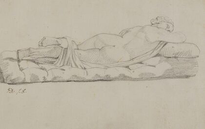 Hermaphrodite