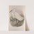 Herodias garzetta. Little Egret. (1862-1873) by John Gould