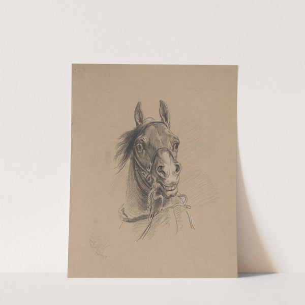 Hest med oppspilte nesebor by Adolph Tidemand