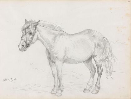 Hest, Velo (1872)