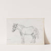 Hest, Velo (1872) by Adolph Tidemand