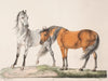 Hestene E & G
