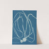 Himanthalia lorea by Anna Atkins