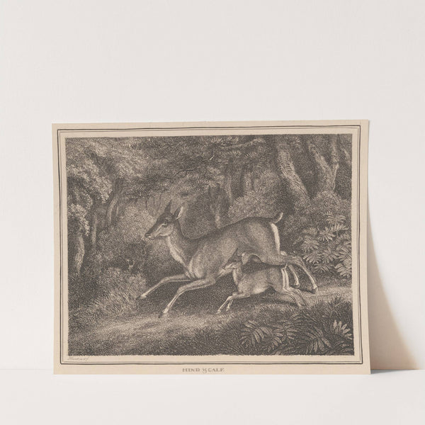 Hind and Calf (1834) by Samuel Howitt