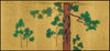 Hinoki Cypress Tree