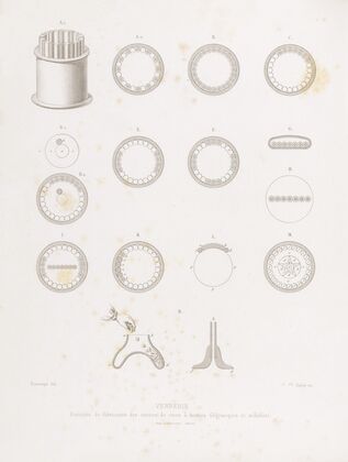 Histoire des arts industriels au moyen âge et à l’époque de la renaissance Pl.31 (1864)