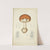 Histoire naturelle des champignons Pl.02 (1883) by Guillaume Sicard