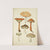 Histoire naturelle des champignons Pl.10 by Guillaume Sicard