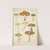 Histoire naturelle des champignons Pl.38 by Guillaume Sicard