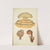 Histoire naturelle des champignons Pl.56 by Guillaume Sicard