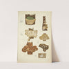 Histoire naturelle des champignons Pl.60 by Guillaume Sicard