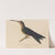 Histoire naturelle des oiseaux-mouches Pl.03 by René-Primevère Lesson