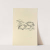 Histoires naturelles Pl 10 by Pierre Bonnard