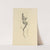 Histoires naturelles Pl 28 by Pierre Bonnard
