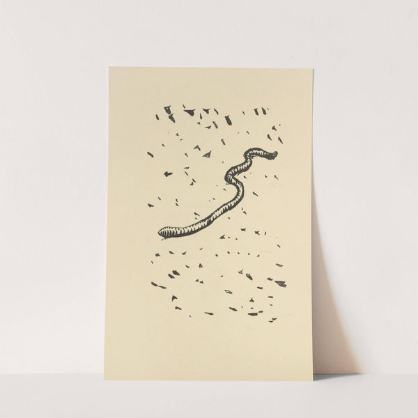 Histoires naturelles Pl 29 by Pierre Bonnard