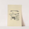 Histoires naturelles Pl 59 by Pierre Bonnard