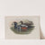 Histrionicus torquatus. Harlequin Duck. (1862-1873) by John Gould