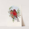 Hodgson&#039;s Trogon by John Gould