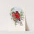 Hodgson&#039;s Trogon by John Gould