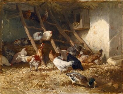 Hoenders