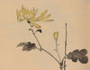 Hōgajō, Pl.07