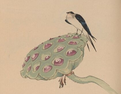 Hōgajō, Pl.11