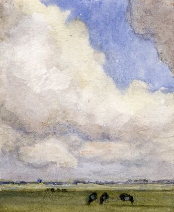 Hoge wolkenlucht boven weilanden