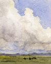Hoge wolkenlucht boven weilanden