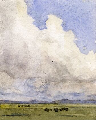 Hoge wolkenlucht boven weilanden