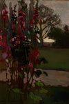 Hollyhocks – Polish Autumn