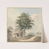 Holy Man Seated Near Plinth Under a Tree by Samuel Davis